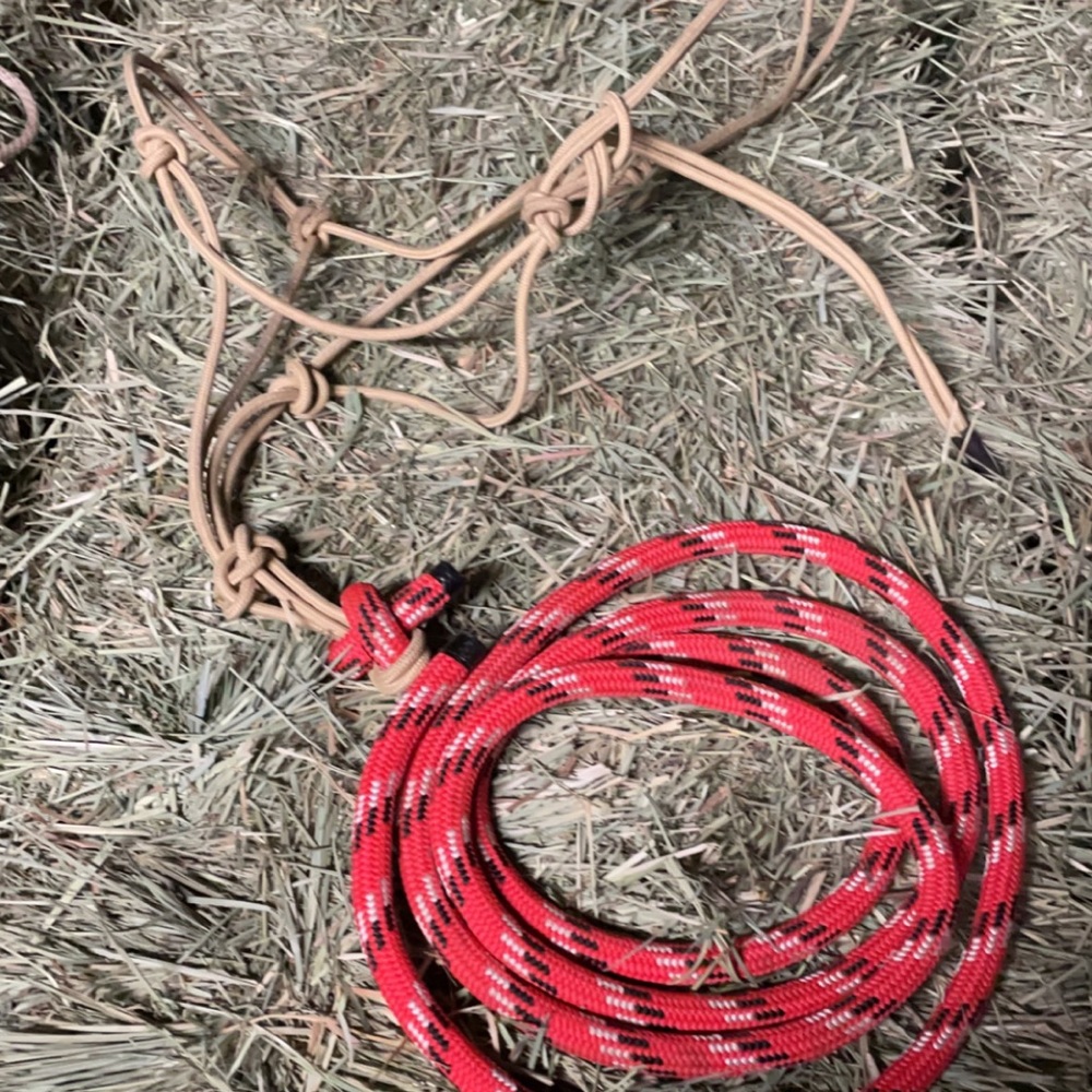 Rope halter